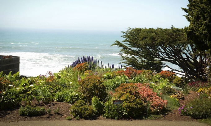 Bodega Bay House | Stylish Cottage at Wrights Beach - Views of Ocean, Gardens and Rolling Hills