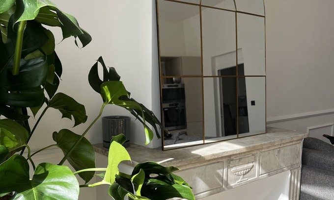 Noailles Apartment | Sublime Appartement Vieux Port Marseille