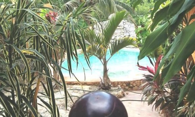 Piste House | Suites Casa de Piedra y Colores-Aak