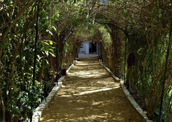 Pushkar Hotel | Sukha's Place