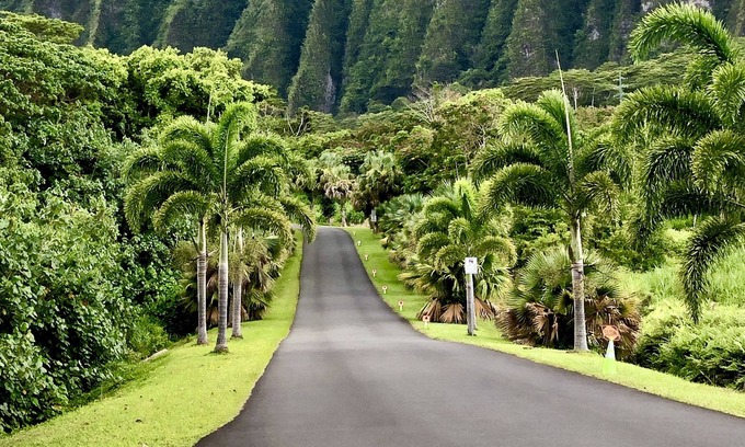 Enchanted Lake House | Summer Sale Kailua- 2 BR with Mountain, Lake Views, Full Kitchen, Laundry and AC
