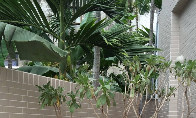 Chaozhou House | Summerle No 11 Hostel