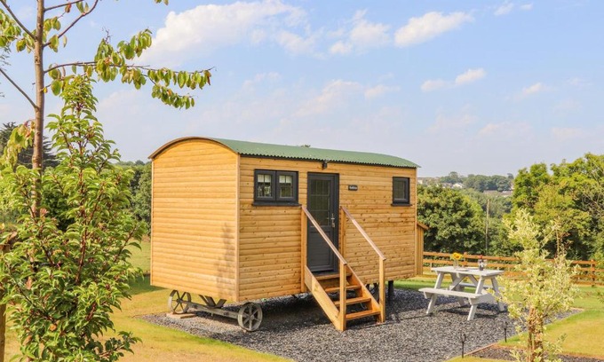 Illogan House | Sunflower