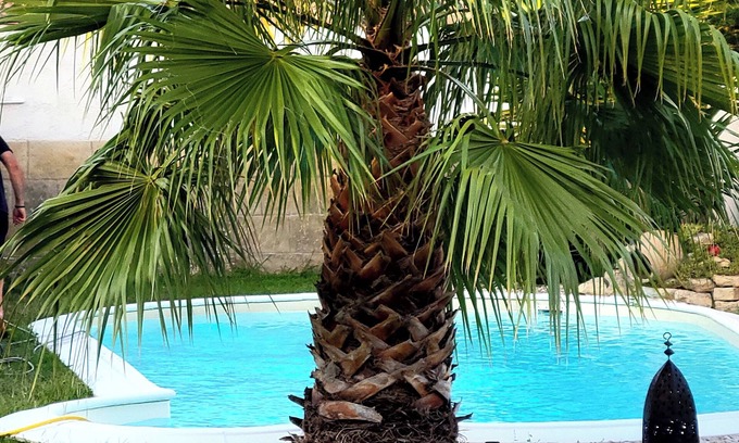 Beaucaire Villa | Superb, comfortable villa with swimming pool