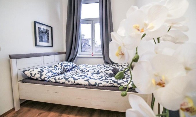 Liesing Apartment | Superior Double room LV b