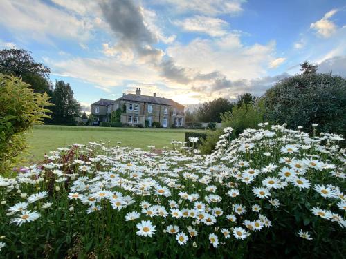 Thirsk Apartment | Sutton Hall Resort