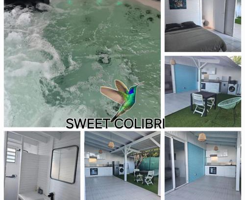 Saint-Pierre Apartment | Sweet Colibri