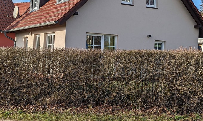 Muritz House | Sweet Spot am Fleesensee - Balance Spot am Fleesensee