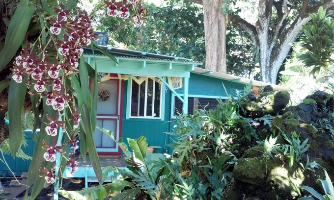 Puna Palisades Cottage | SWEET SPOT STAY-ENCHANTED GROTTO HOUSE-SEE THE LAVA FLOWS FROM SAFE DISTANCES!
