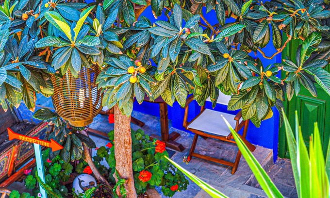 Symi Hotel | Symi Garden Studios