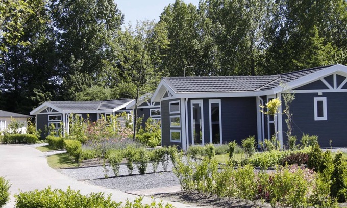 Municipality of Langedijk House | T-model 4 by Interhome
