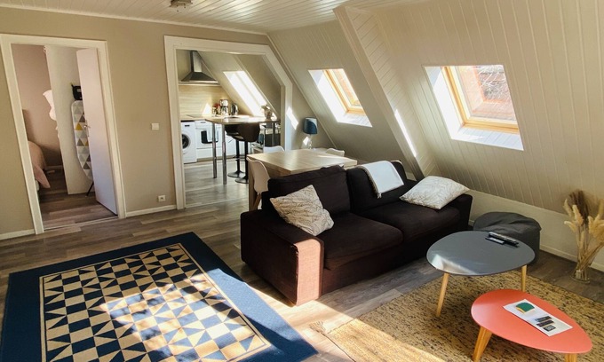 Haguenau Apartment | T2, air-conditioned with terrace, in pedestrian zone with rooftop views.