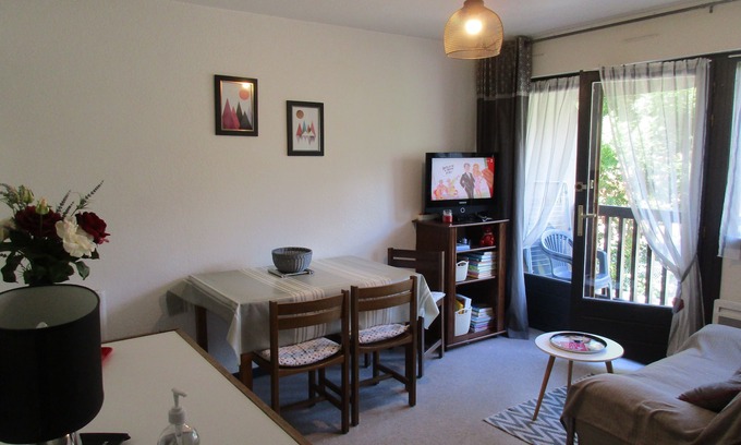 Vignec Apartment | T2 CABIN 4 PERSONS QUIET & FUNCTIONAL on the outskirts of Saint Lary