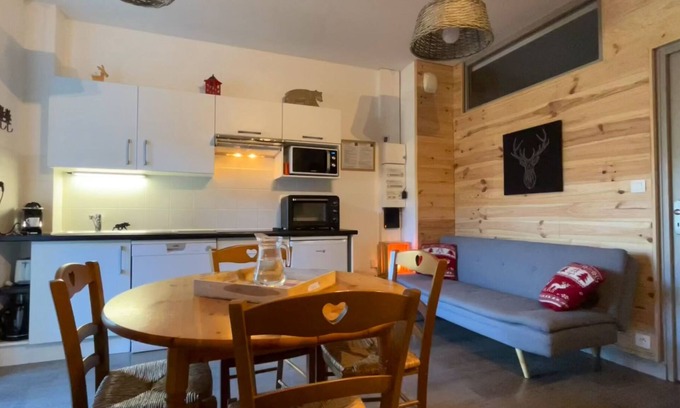Mont-Dore Apartment | T3 APARTMENT WITH TERRACE OVERLOOKING THE SANCY - CURES OR VACATION -
