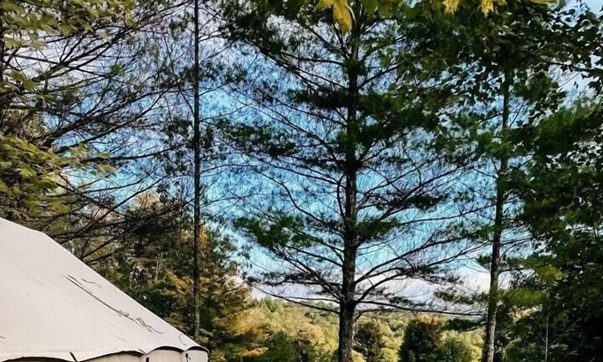 Mattawana RV Rental | Tentrr Signature Site - Piney Pond Retreat at Tuckaway Tree Farm