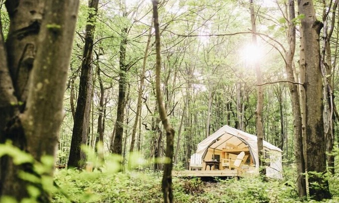 Lehighton RV Rental | Tentrr Signature Site - Whippoorwill Woods