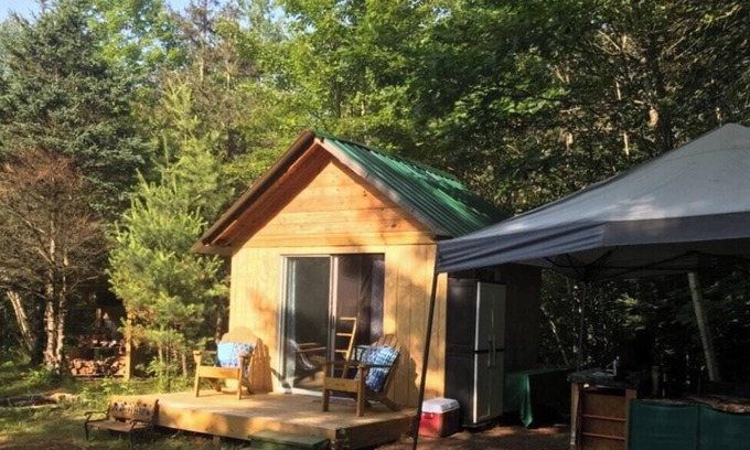 Witherbee RV Rental | Tentrr Signature Site - Piney Wood Hills