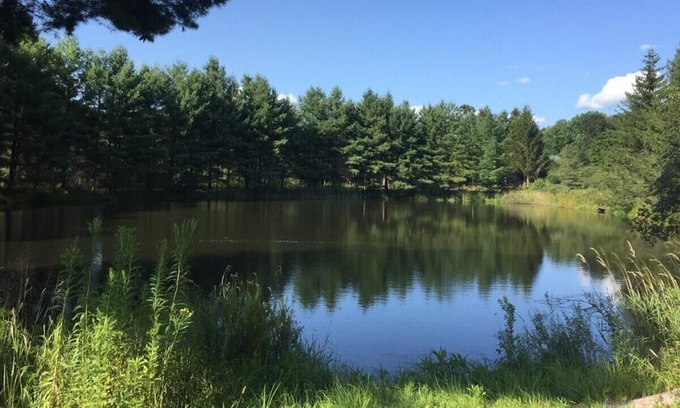 Franklin RV Rental | Tentrr Signature Site - Moonlit Pond