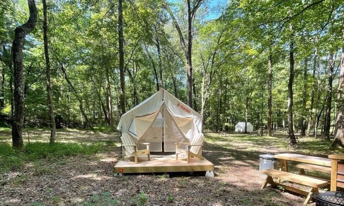 Holly Springs RV Rental | Tentrr State Park Site - Mississippi Wall Doxey State Park - Woodland C - Single
