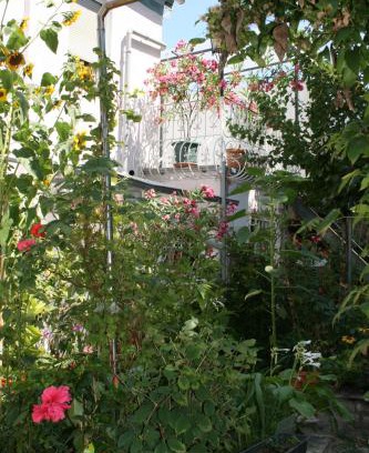 Worms Apartment | TerasenAppartement