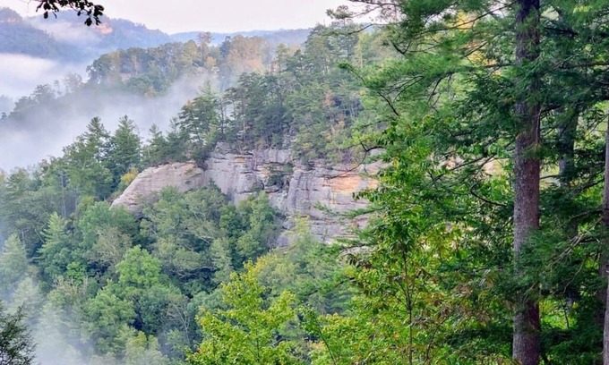 Rogers Cabin | Terrapin Station: Million dollar view, RRG!