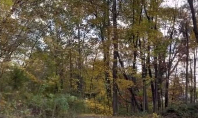 Red Hook Apartment | THE ARTIST’S LOFT- Peaceful 1-bedroom apartment in lovely Red Hook with AC, WiFi