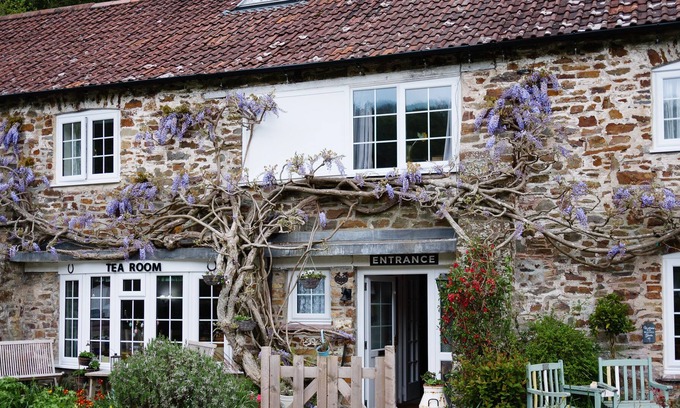 Oakfordbridge Bed & Breakfast | The Bark House