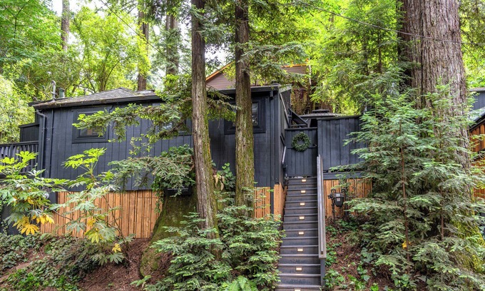 Guerneville Cabin | The Black Nest -Trendy & Charming Redwood Retreat! 5 Star! WIFI/HotTub/Pup