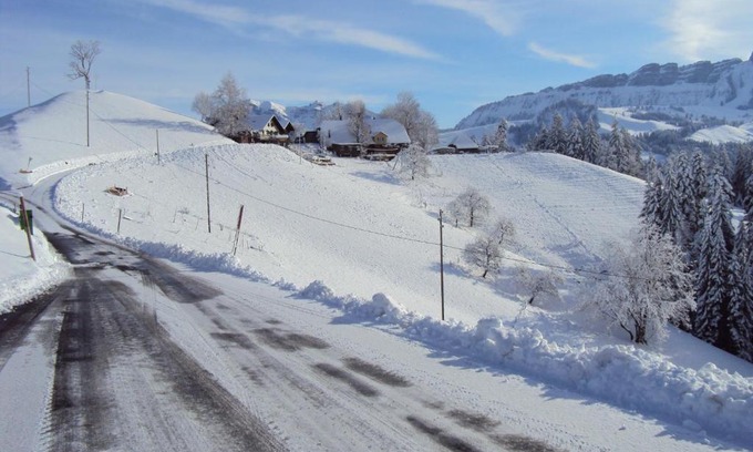 Eriz House | The Blossom House