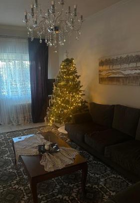 Trikala Apartment | The classic house