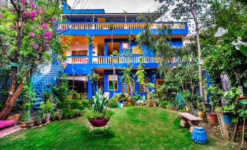 Agra House | The Coral Tree Boutique Homestay