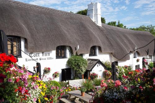 Totnes Hotel | The Cott Inn
