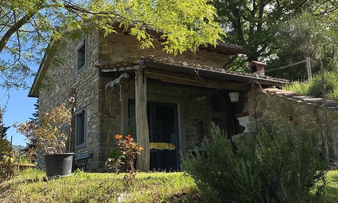 Vicchio Ski Chalet | The cottage in the woods
