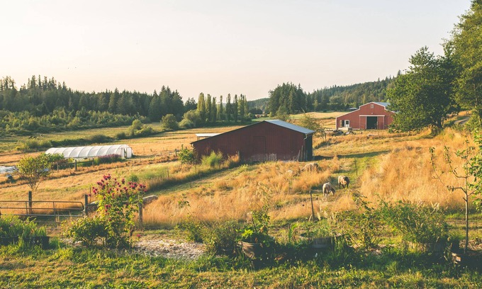 Port Ludlow Other | The Farmhouse Suite near Port Townsend, WA
