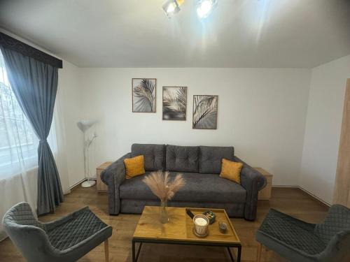 Sfantu Gheorghe Apartment | The Future Residence