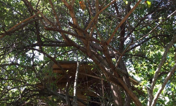 Dambulla Cabin | The Inn On The Tree Sigiriya