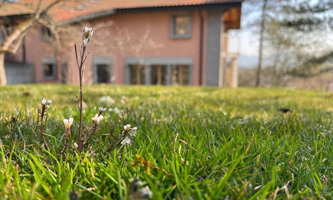 Cormoret Bed & Breakfast | the Jad B&B