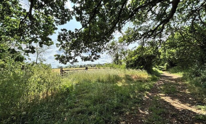 Martlesham Heath House | The lodge Sleeps 5 Away from it all self catering property in Newbourne,