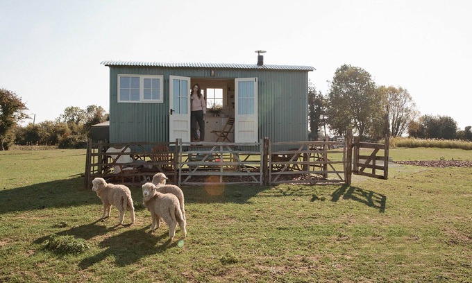 St Mary's Bay Cabin | The Lookerer by Bloom Stays - a rural shepherds hut with amazing views!