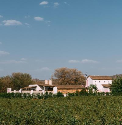 Village Hokra House | The Luxe Pushkar - A Luxury Farmstay in Pushkar
