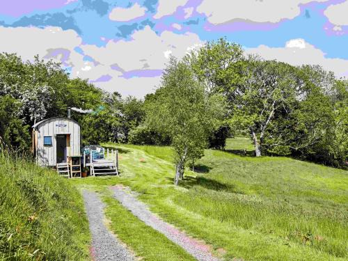 Trecastle Apartment | The Mallard Shepherd's Hut with Hot Tub