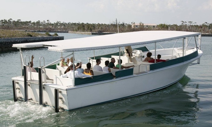 Yeoman Wood Resort | The Marlin at Taino Beach