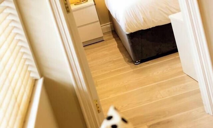 Belfast Apartment | The Monet- Chic 1 Bed Apt (Gold Short Term Stays)