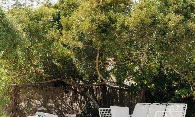 Concelho Apartment | The Old Donkey Suite