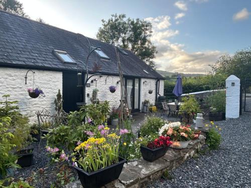 Llandovery House | The Old Milking Parlour