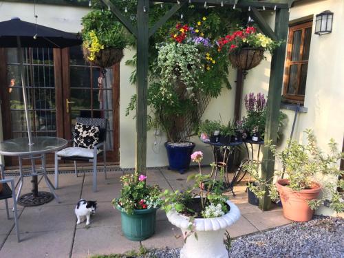 Kilgetty Apartment | The Olive Branch at The Poplars