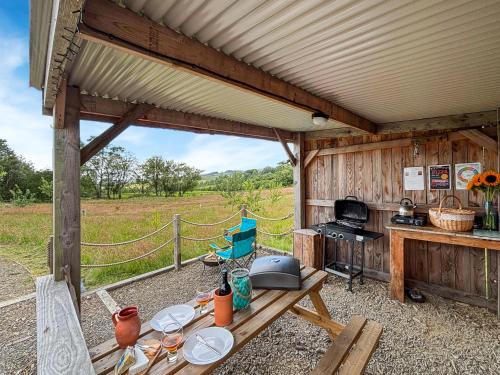 Llanfair Caereinion House | The Owl Pod - Uk50070