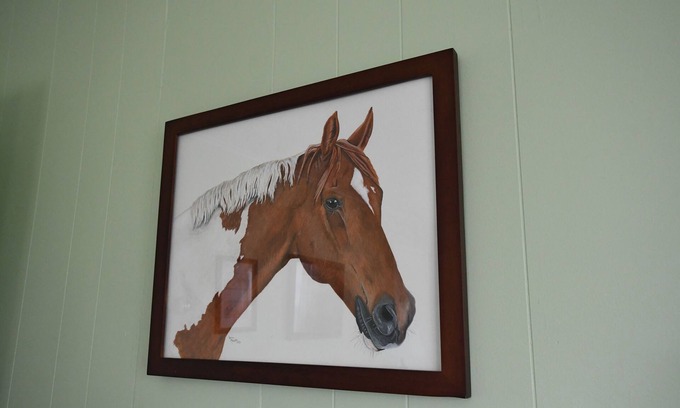 Geneseo House | The Painted Pony Cottage at LegUp Stables. Vacation with a Horse!