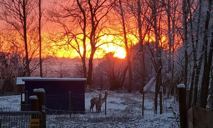 Tappernoje Apartment | The parrot hotel, live in a rescue animal park