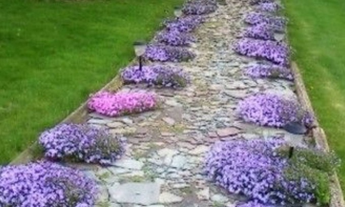 Dresden Bed & Breakfast | The Pines of Dresden B&B